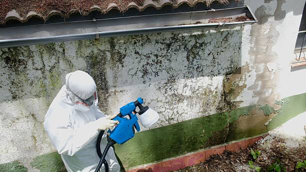 Trusted Mold Testing service in Gaston, NC - Cheap Mold Removal